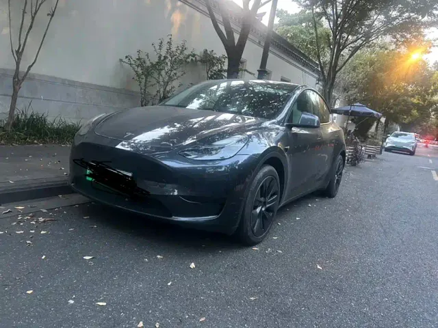 Tesla Model Y — Фото автомобиля 4