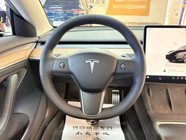 Tesla Model 3 — Фото автомобиля 15