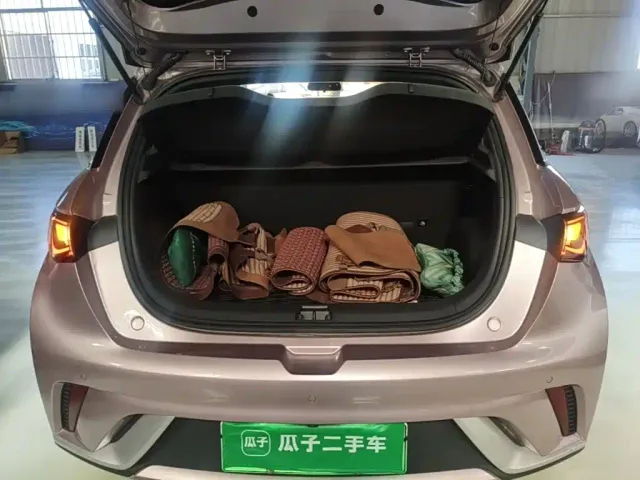 BYD Dolphin 2025 420km Freedom Edition — Фото автомобиля 12