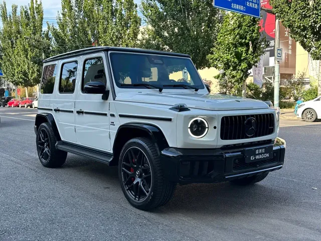 Mercedes-Benz G-Class AMG — Фото автомобиля 6