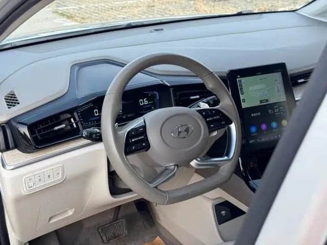 Hyundai Custo — Фото автомобиля 25