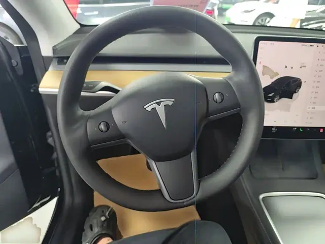 Tesla Model Y — Фото автомобиля 10