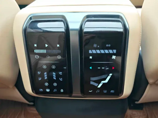 BYD FangChengBao Leopard 8 — Фото автомобиля 13