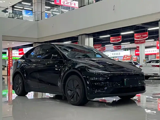 Tesla Model Y — Фото автомобиля 3