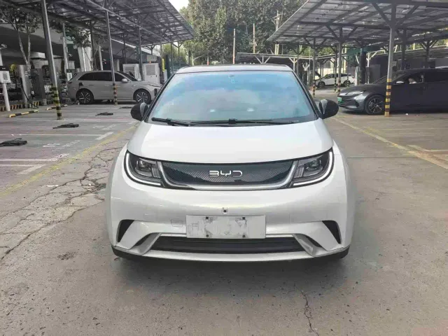 BYD Dolphin — Фото автомобиля 2
