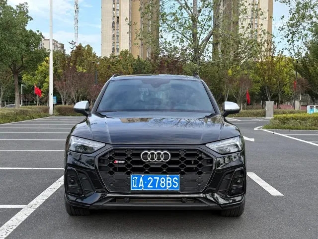 Audi SQ5 — Фото автомобиля 2