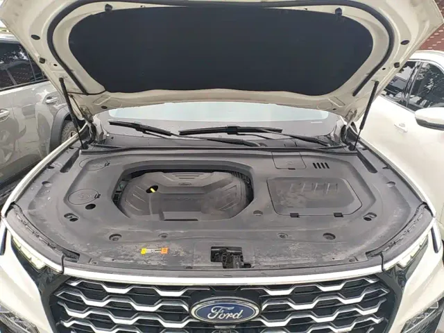 Ford Territory — Фото автомобиля 19