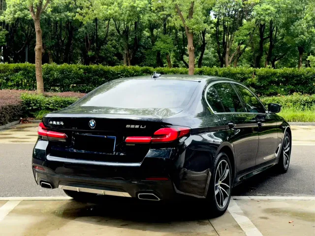 BMW 5 Series — Фото автомобиля 11