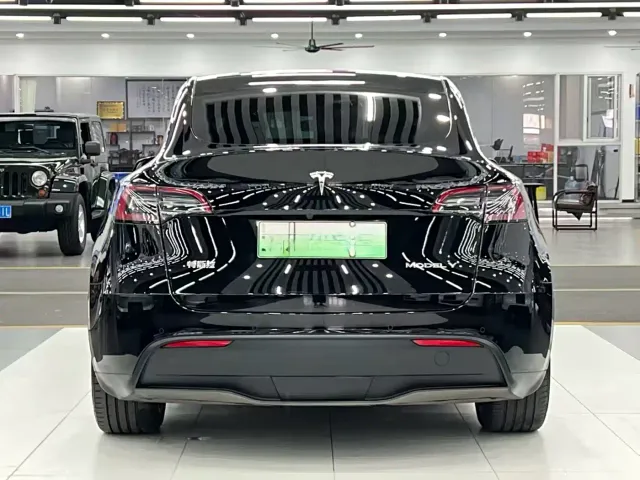 Tesla Model Y — Фото автомобиля 8