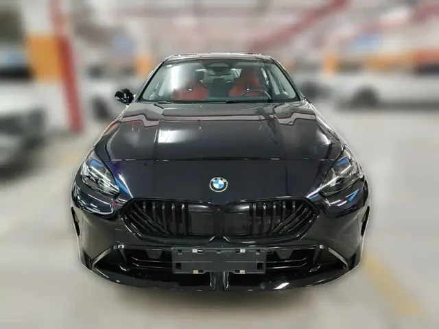 BMW 2 Series — Фото автомобиля 4