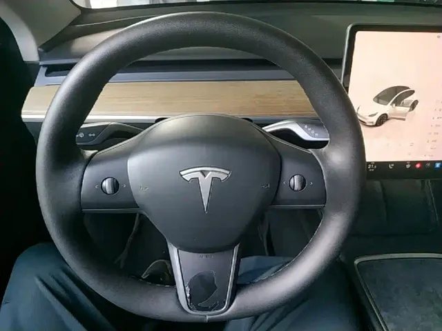 Tesla Model Y — Фото автомобиля 10