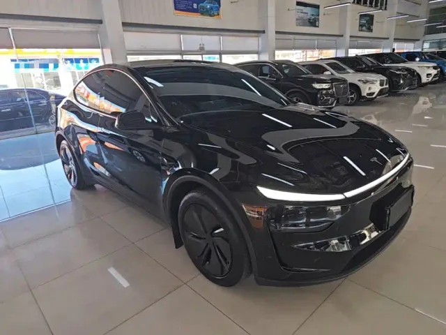 Tesla Model Y — Фото автомобиля 3