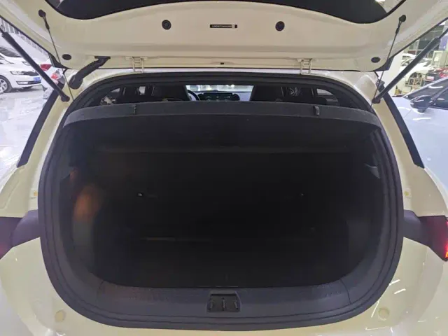 BYD Dolphin — Фото автомобиля 18