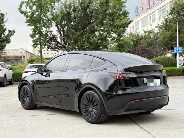 Tesla Model Y — Фото автомобиля 3