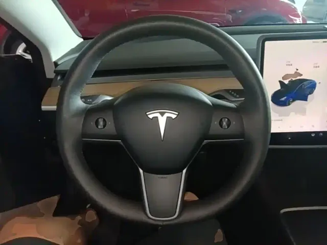 Tesla Model 3 — Фото автомобиля 10