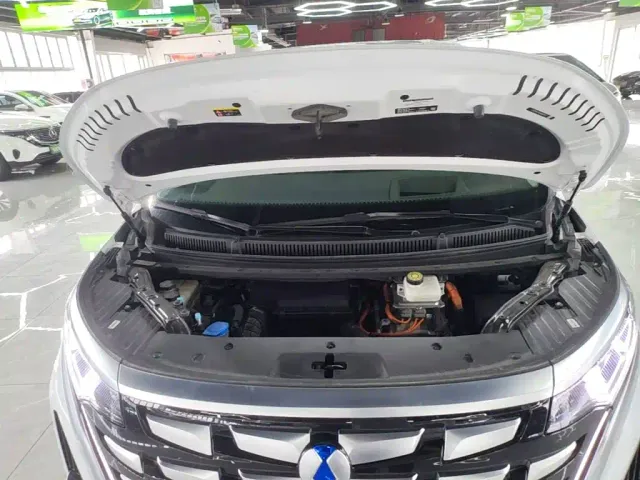 Denza Denza D9 2022 DM-i 970 AWD Flagship — Фото автомобиля 19