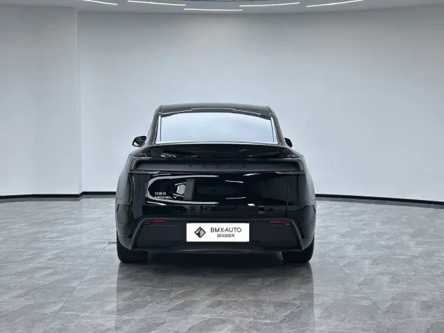 Tesla Model Y — Фото автомобиля 3