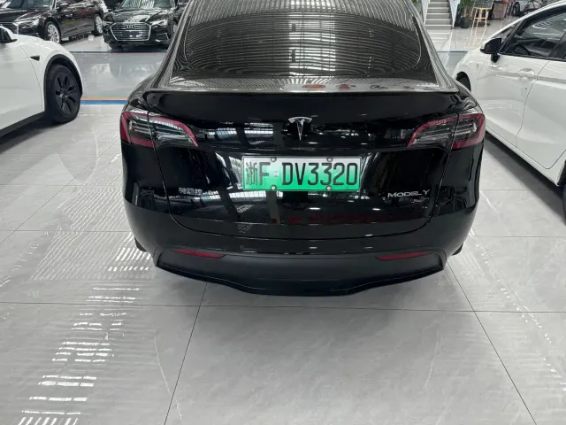 Tesla Model Y — Фото автомобиля 8