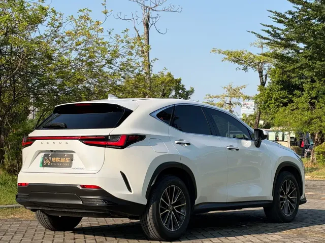 Lexus NX — Фото автомобиля 6