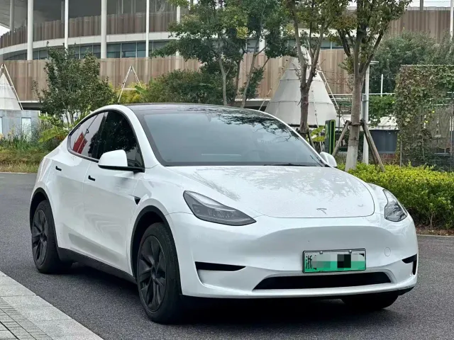 Tesla Model Y — Фото автомобиля 3