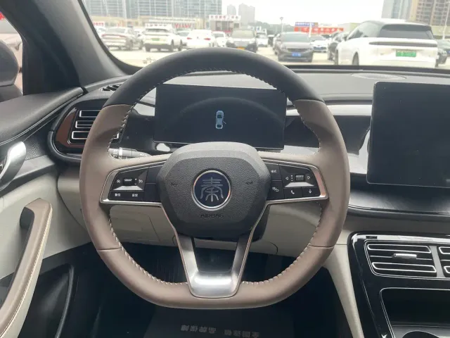 BYD Qin PLUS 2023 Champion Edition DM-i 55KM Leading — Фото автомобиля 6