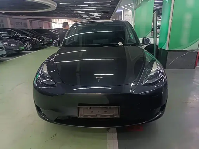 Tesla Model Y — Фото автомобиля 2
