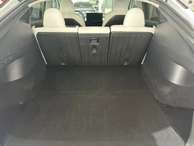 Tesla Model Y — Фото автомобиля 30