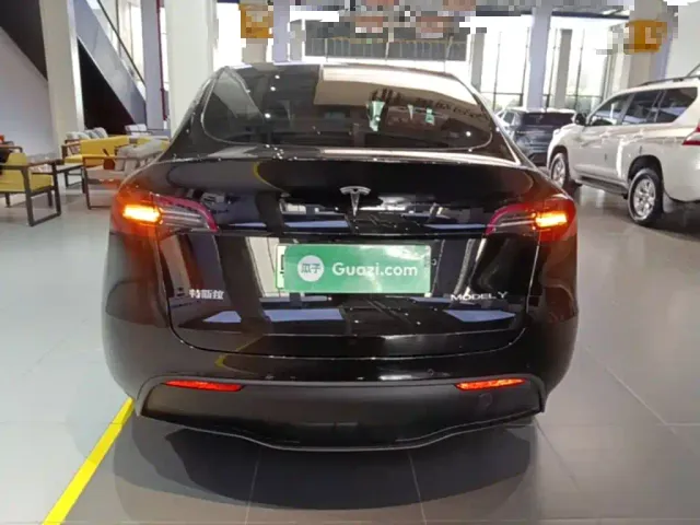 Tesla Model Y — Фото автомобиля 5