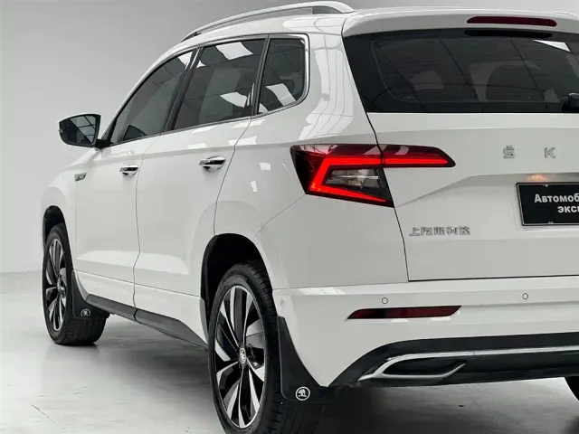 Skoda Karoq — Фото автомобиля 17
