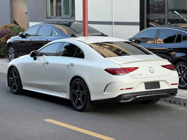 Mercedes-Benz CLS-Class — Фото автомобиля 6
