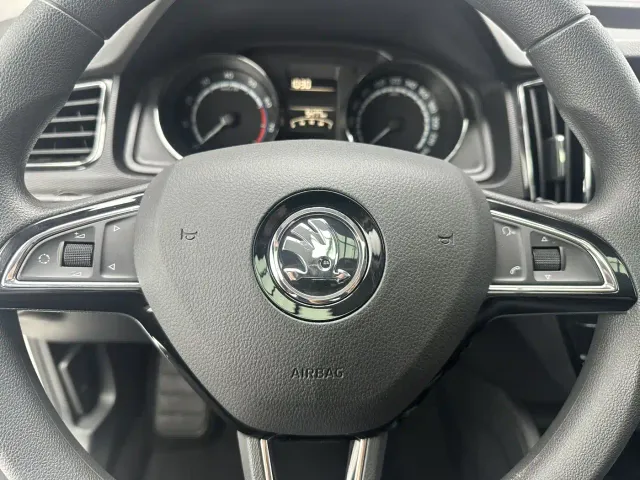 Skoda Kamiq — Фото автомобиля 14