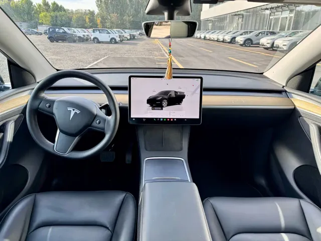 Tesla Model Y — Фото автомобиля 9