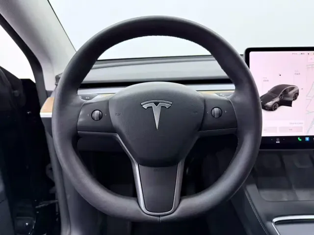 Tesla Model Y — Фото автомобиля 14