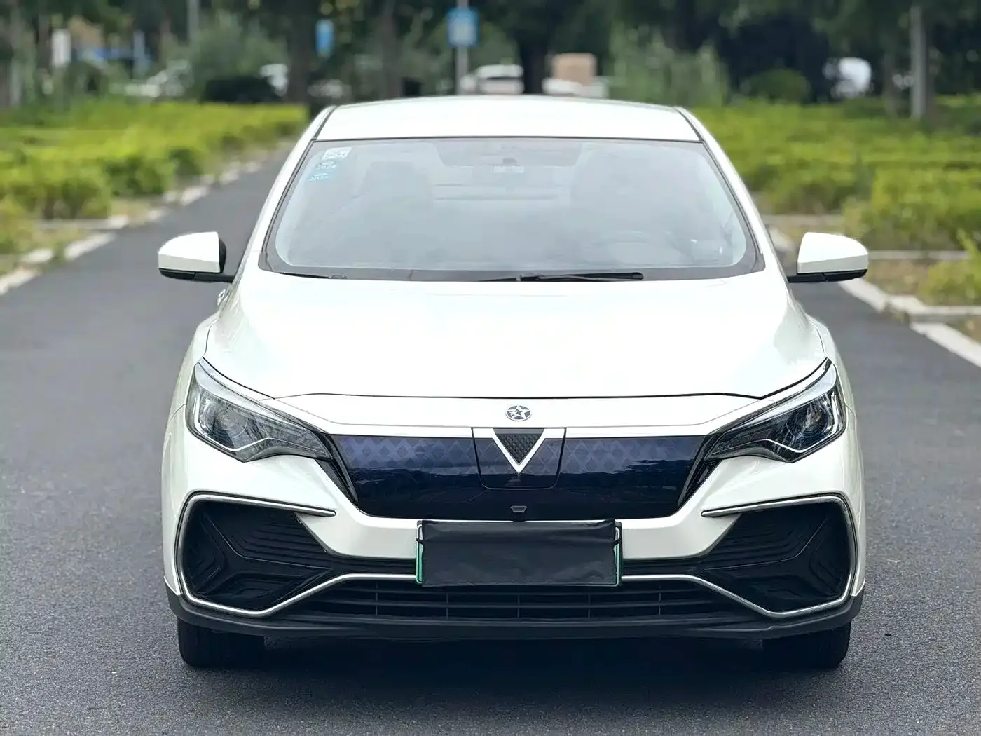 Venucia Venucia D60EV 2020 Standard Range Premium Edition — Фото автомобиля 8