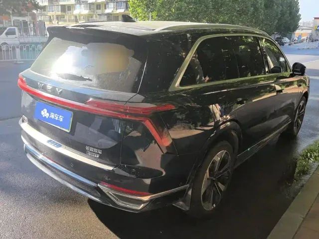 Wey Lanshan — Фото автомобиля 3