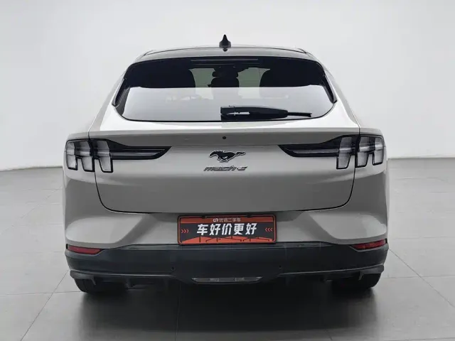 Ford Ford Mustang Mach-E 2021 Leap World RWD (Standard Range) — Фото автомобиля 4