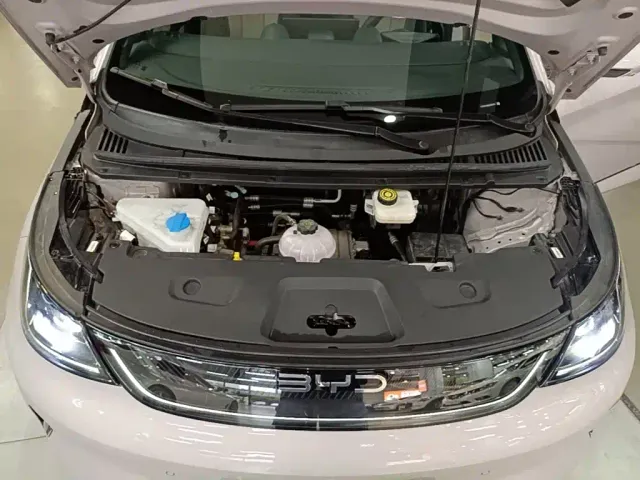 BYD Dolphin — Фото автомобиля 19