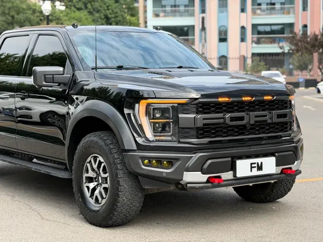 Ford F-150 Raptor — Фото автомобиля 11