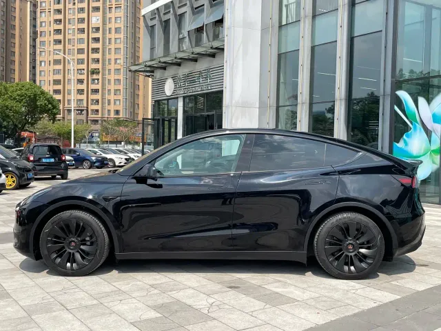 Tesla Model Y — Фото автомобиля 3