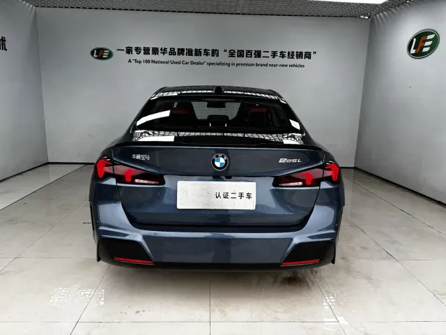 BMW 2 Series — Фото автомобиля 6