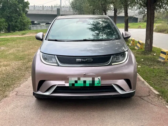 BYD Dolphin — Фото автомобиля 2