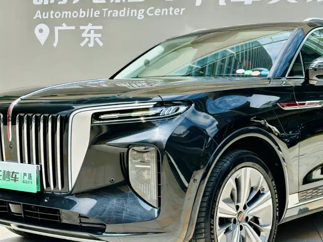 Hongqi E-HS9 — Фото автомобиля 18
