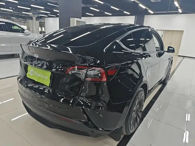 Tesla Model Y — Фото автомобиля 6