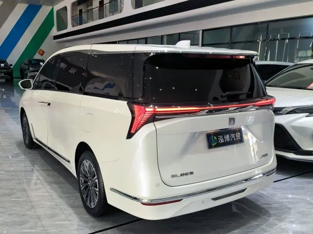 Buick GL8 — Фото автомобиля 14