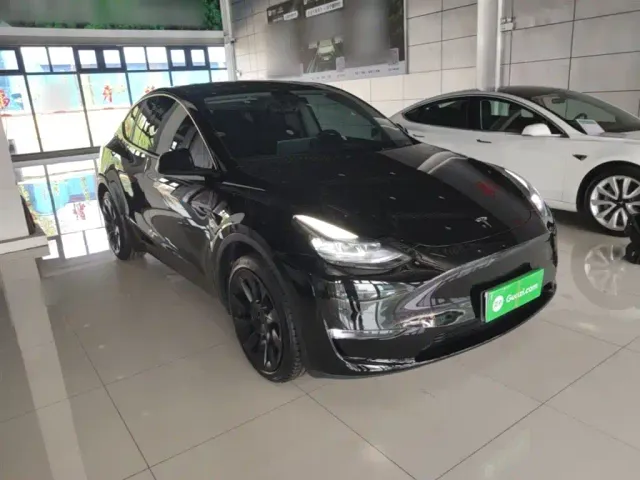 Tesla Model Y — Фото автомобиля 3