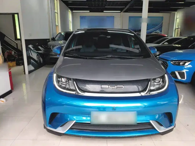 BYD Dolphin — Фото автомобиля 2