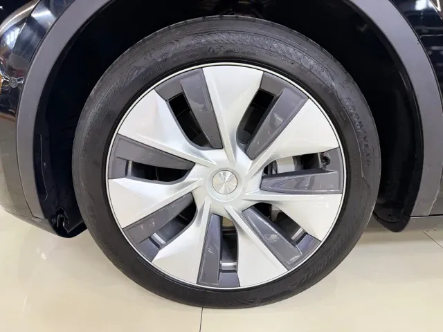 Tesla Model Y — Фото автомобиля 4