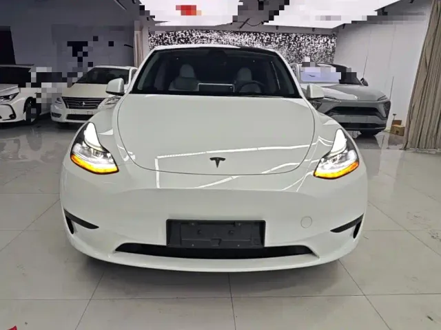 Tesla Model Y — Фото автомобиля 2