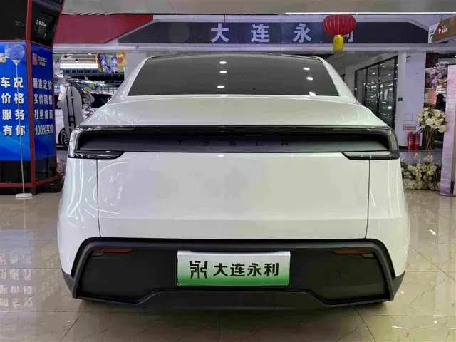 Tesla Model Y — Фото автомобиля 16
