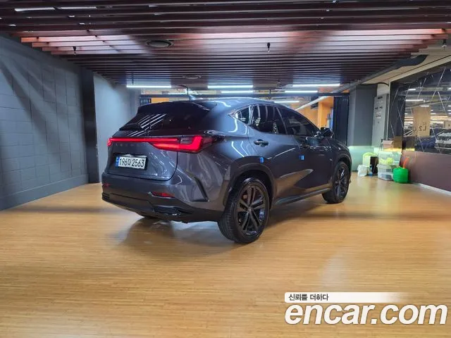 Lexus NX 2nd Gen — Фото автомобиля 2